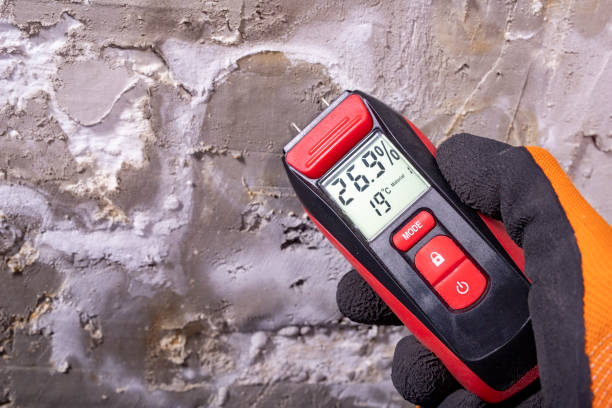 Best Attic Mold Removal  in East Helena, MT