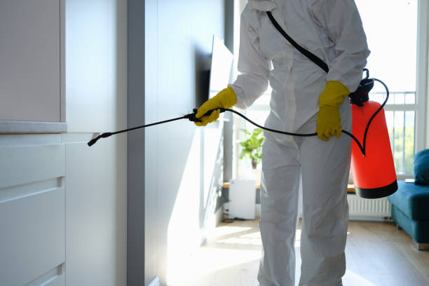 Best Mold Cleaning Services  in East Helena, MT